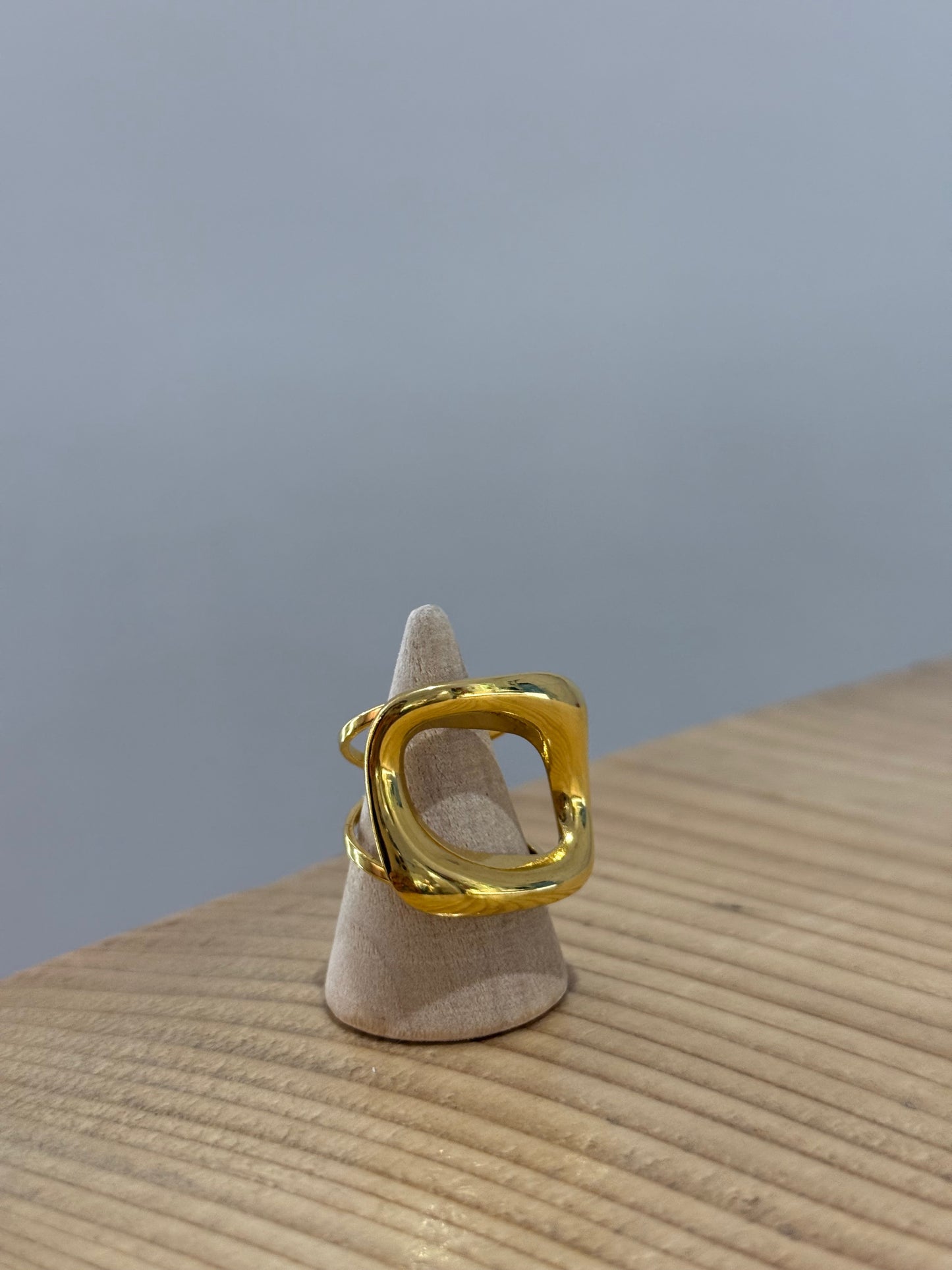 Anillo Bini