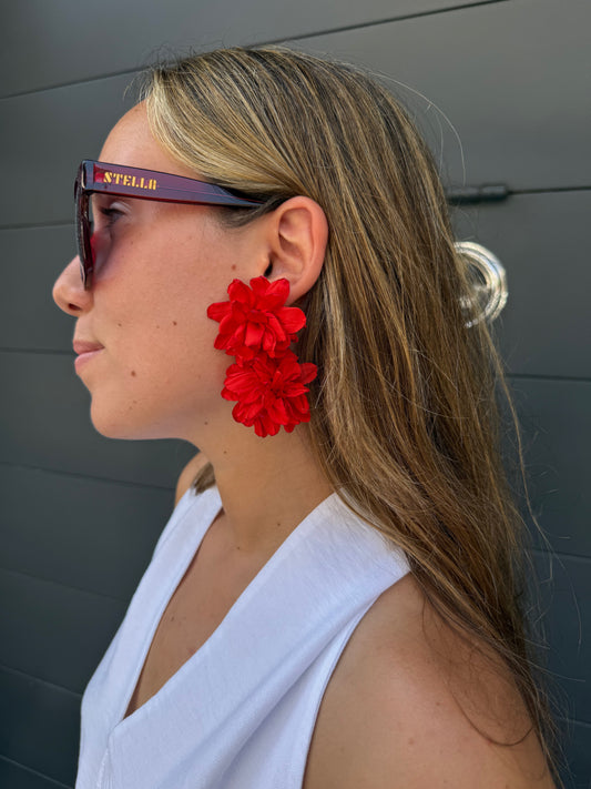 Pendientes Amore